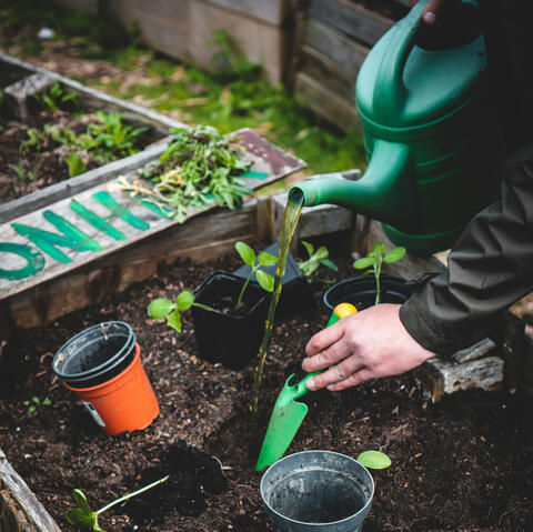 Gardening Image An image of gardening, which is one of the products we supply.